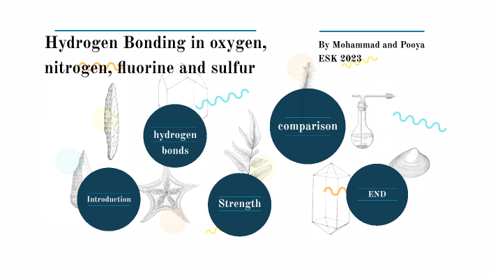 Hydrogen Bonding In Oxygen Nitrogen Fluorine And Sulfur By Pedro Jones On Prezi