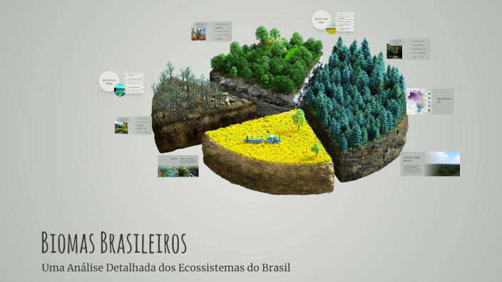 Biomas Brasileiros by Eduarda Ávila on Prezi