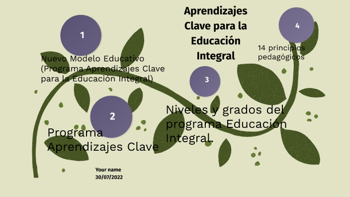 Aprendizajes Clave para la Educación Integral by LAURA DOMINGUEZ