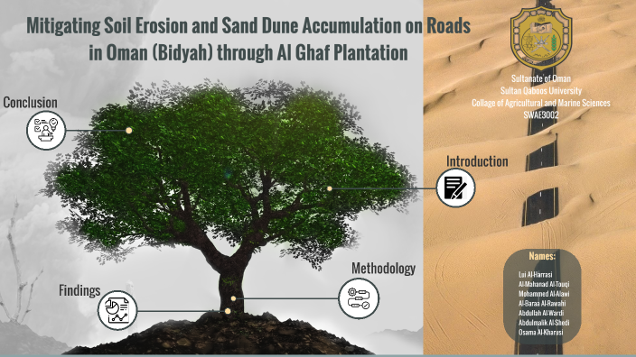 Wind erosion and Why Al-Ghaf tree by Lui Al Harrasi on Prezi