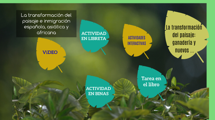 La transformación del paisaje: Ganadería, minería y nuevos cultivos by