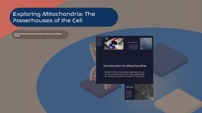 Exploring Mitochondria: The Powerhouses of the Cell by fatela masoudi ...