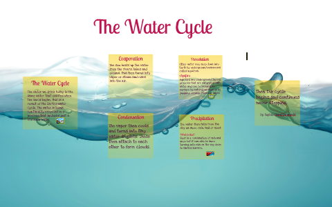 The Water Cycle by sophie carathanassis on Prezi