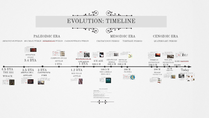 Evolution Timeline by Elzbieta J on Prezi