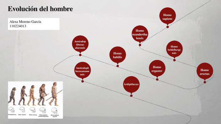 Evolución Del Hombre By Alexa Moreno GarcÍa On Prezi 9994