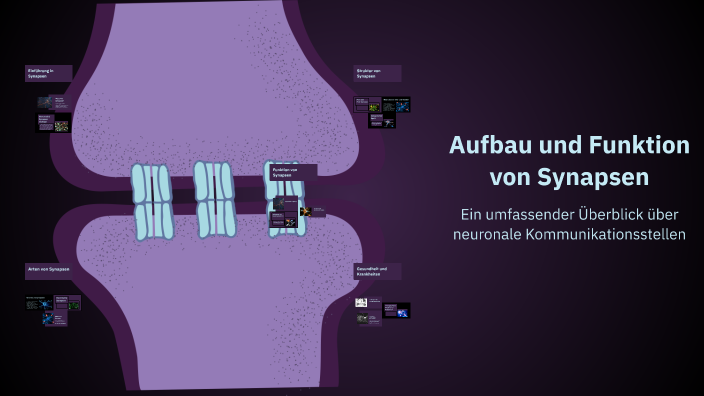 Aufbau und Funktion von Synapsen by Abed Jiji on Prezi