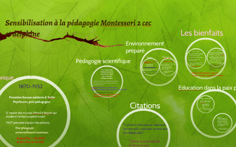 Sensibilisation A La Pedagogie Montessori By Cecile Letangre