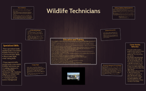 Wildlife Technicians By Rebecca Lawson On Prezi Next