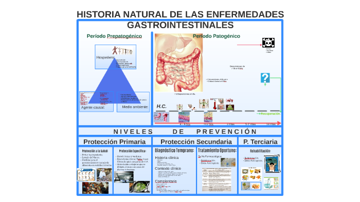 Historia Natural De La Enfermedad Gastroenteritis prezi.com
