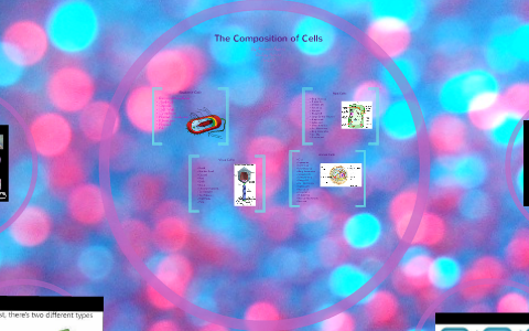 Comparing the Structure of Cells by Mariana Guerra on Prezi