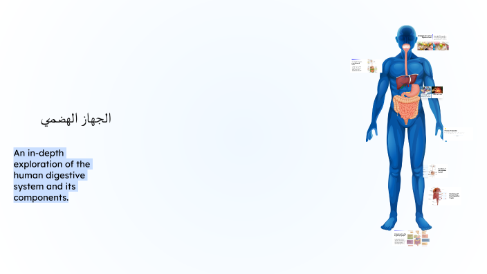 The Digestive System by zahra said on Prezi