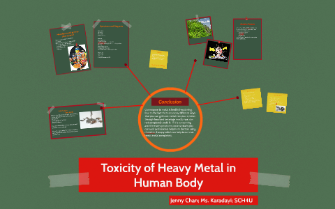 Toxicity of Heavy Metal in Human Body by Jenny Chan