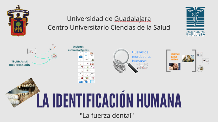 LA IDENTIFICACIÓN HUMANA By Betsy Jiménez Bulnes