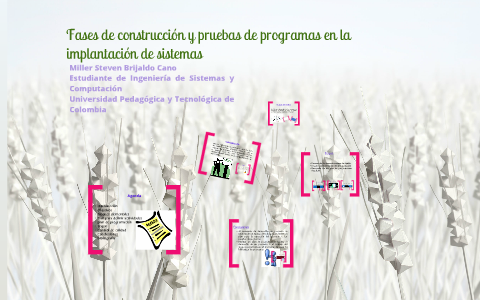 Fases de construcción y pruebas de programas en la implantación de ...