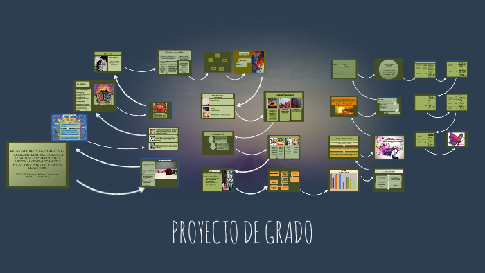 PROYECTO DE GRADO by marianela baldiviezo tezanos pinto on Prezi