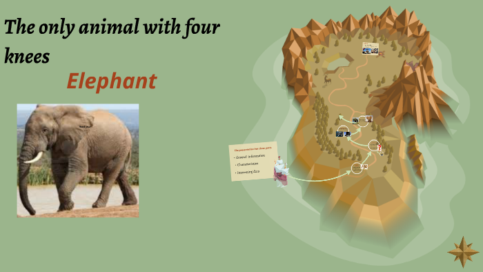 The only animal with four knees by Karii Rojazz