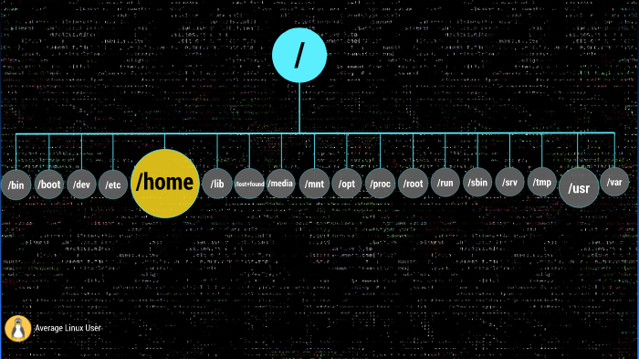 Memory initialized. Average Linux user. Linux average. Linux root folders. Шкала линукс.