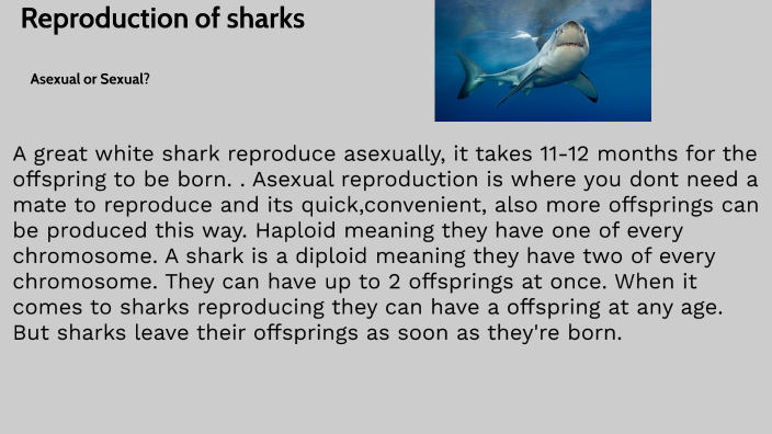 reproduction of sharks by Sir King Arnett on Prezi