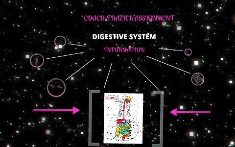 DIGESTIVE SYSTEM ASSIGNMENT by Jared Peel