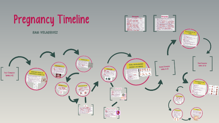 Pregnancy Timeline by Sam Lee on Prezi