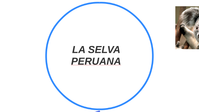 LA SELVA PERUANA by MARITZA ISABEL RODRIGUEZ NORES on Prezi