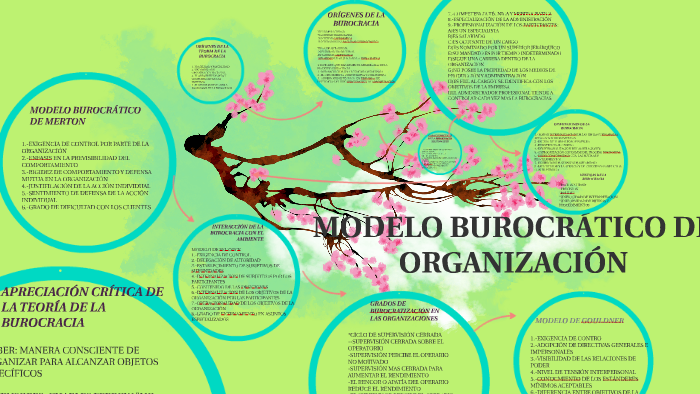 MODELO BUROCRÁTICO DE ORGANIZACIÓN by estefani sanchez on Prezi Next