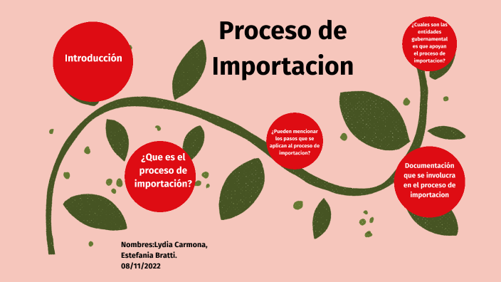 Proceso De Importación By Lydia Carmona On Prezi