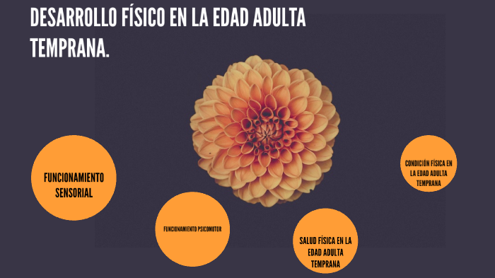DESARROLLO FÍSICO EN LA EDAD ADULTA TEMPRANA by Nayeli Alonso on Prezi
