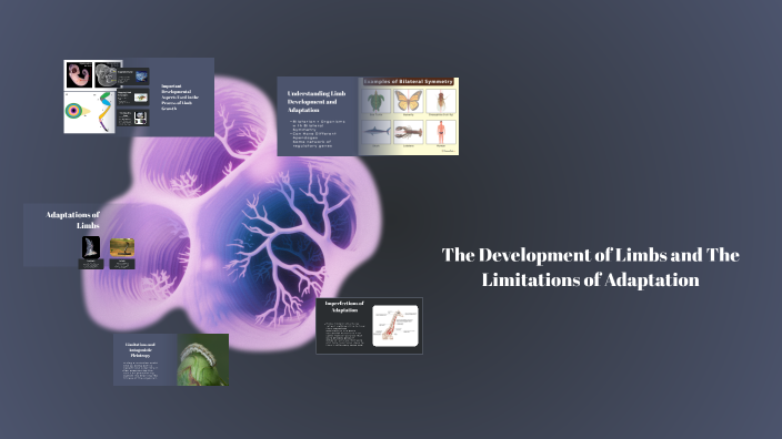 The Evolution of Limbs: Growth and Adaptation by x cp on Prezi