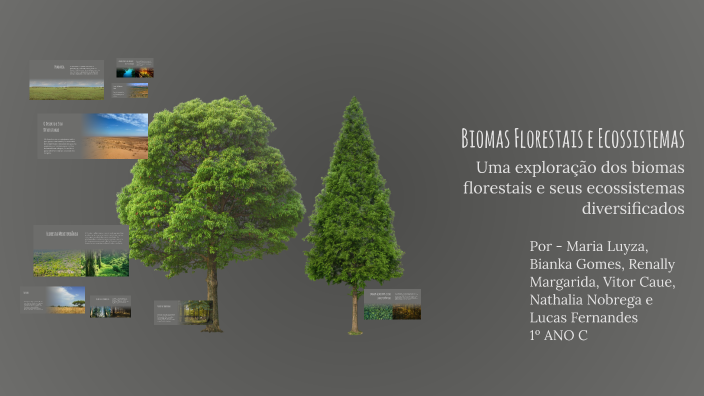 Biomas Florestais e Ecossistemas by Luyza Silva on Prezi