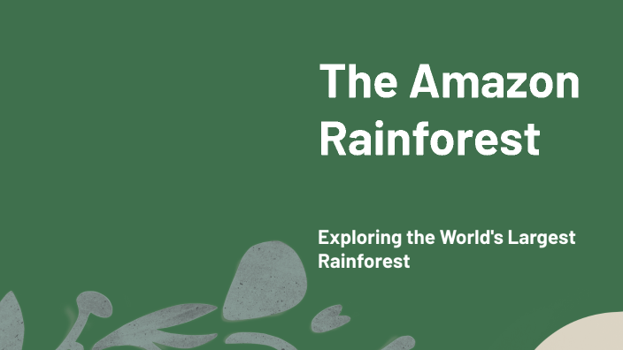The Amazon Rainforest by Junior Rao on Prezi