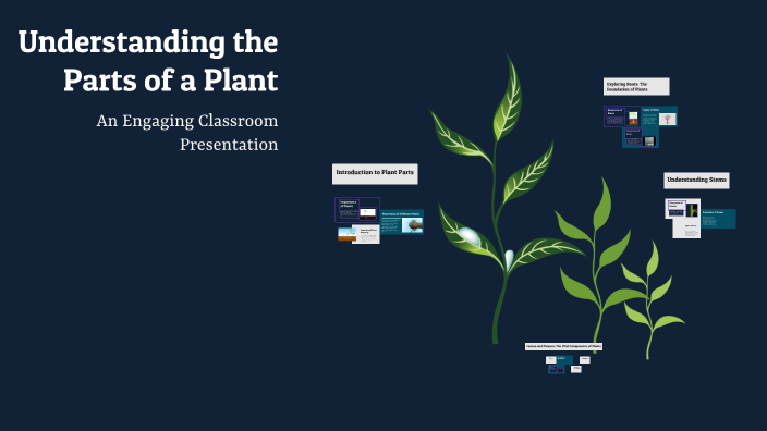 Understanding the Parts of a Plant by Sangeetha Nambiar on Prezi