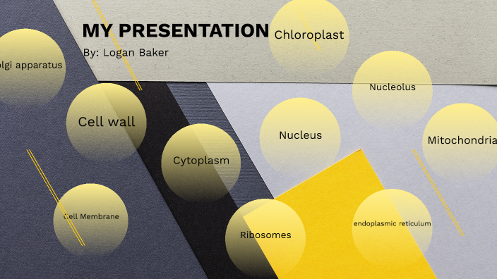 Plant Cell project by Logan Baker on Prezi