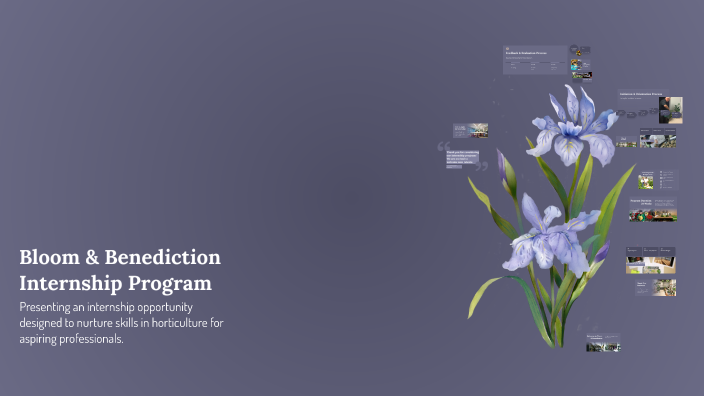 Bloom & Benediction Internship Program by georgia gray on Prezi