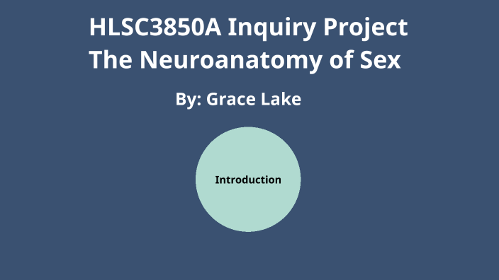 The Neuroanatomy Of Sex By Grace Lake On Prezi