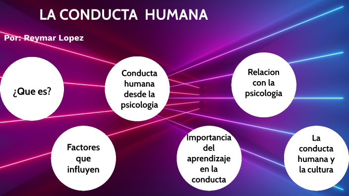 Conducta Humana By Reymar Lorena Lopez Orellana 1997