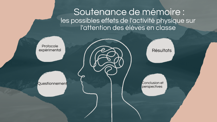 Soutenance Mémoire By Perrine Blanchet On Prezi