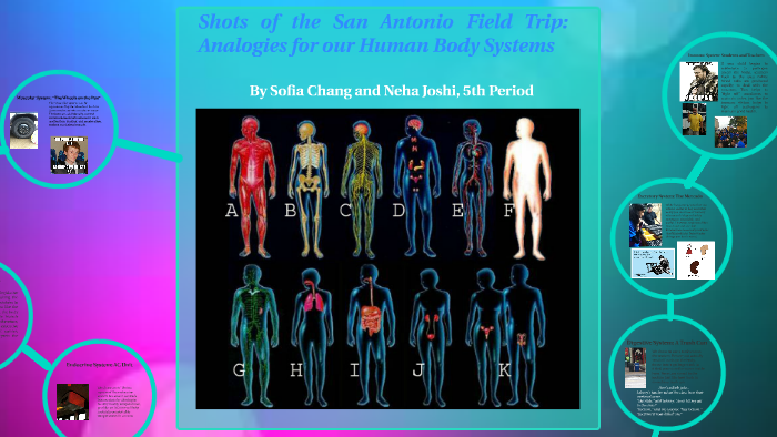 Analogy for Our Human Body by Sofia-Helen Chang-Wang on Prezi