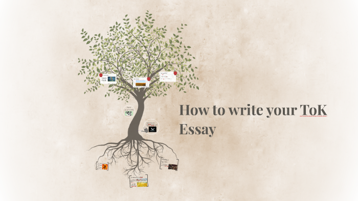 how to write the second body paragraph of an essay