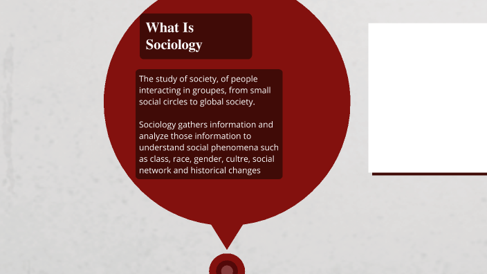 history of sociology education essay