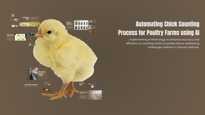 Chick Counting System Automating Chick Counting Process for Poultry Farms using AI by bindhu ...