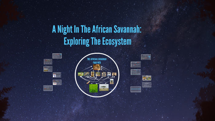 Beyond the Savannah: Exploring the Diverse Governance Systems of African Tribes