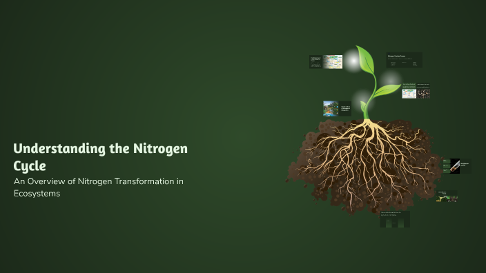 Understanding the Nitrogen Cycle by Kiranedits on Prezi