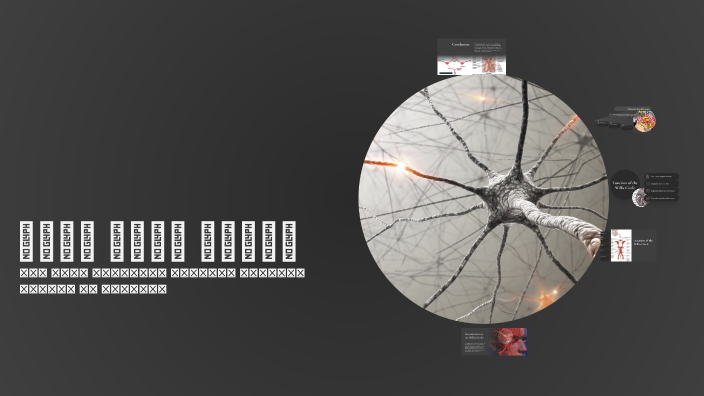 تشريح حلقة ويلس by Abdullah Al Hamoud on Prezi