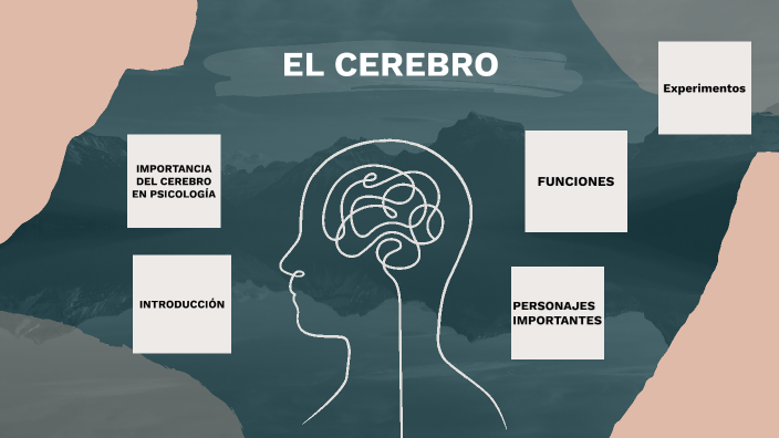 El cerebro by on Prezi