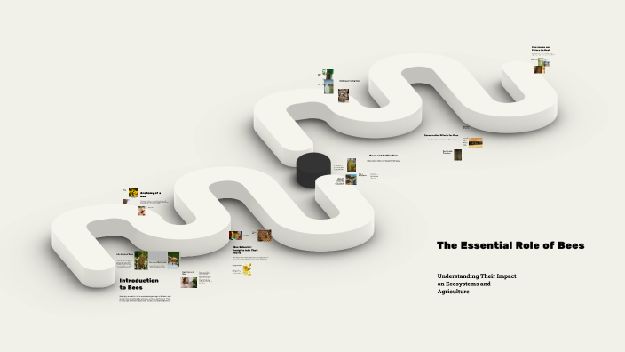 The Essential Role of Bees by Test User on Prezi