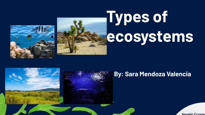 Tipos de ecosistemas by sara mendoza on Prezi