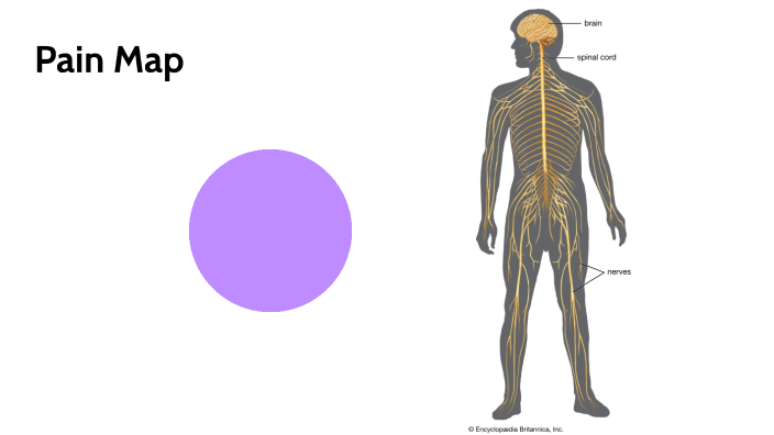 Pain Loop Map Pain Map by Amber Tonkin on Prezi