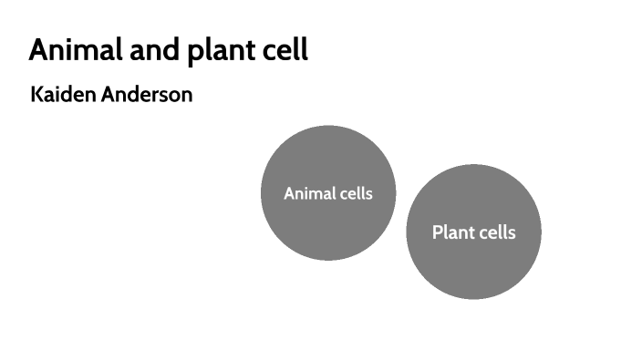 Animal and plant cell by Kaiden Anderson on Prezi