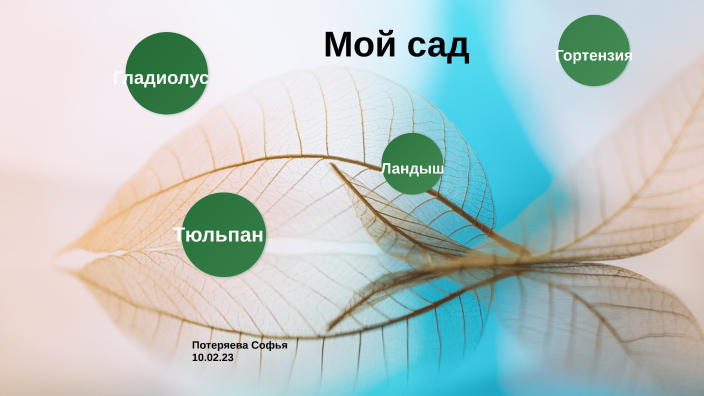 by Софья Потеряева on Prezi